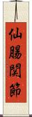 仙腸関節 Scroll