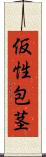 仮性包茎 Scroll