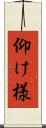 仰け様 Scroll