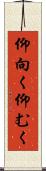 仰向く Scroll
