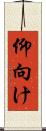 仰向け Scroll