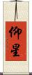 仰星 Scroll