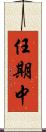 任期中 Scroll