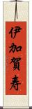 伊加賀寿 Scroll