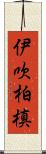 伊吹柏槙 Scroll