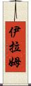 Iram Scroll