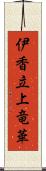 伊香立上竜華 Scroll