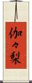 伽々梨 Scroll
