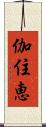 伽住恵 Scroll