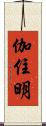 伽住明 Scroll