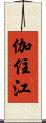 伽住江 Scroll