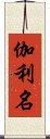 伽利名 Scroll