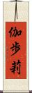 伽歩莉 Scroll