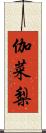 伽菜梨 Scroll