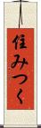 住みつく Scroll