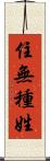 住無種姓 Scroll