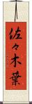 佐々木葉 Scroll
