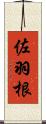 佐羽根 Scroll