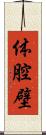 体腔壁 Scroll