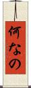何なの Scroll