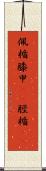 佩楯 Scroll