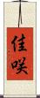 佳咲 Scroll