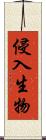 侵入生物 Scroll