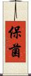 保菌 Scroll