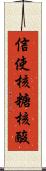 信使核糖核酸 Scroll