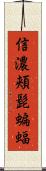 信濃頬髭蝙蝠 Scroll