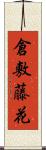 倉敷藤花 Scroll