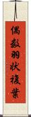 偶数羽状複葉 Scroll