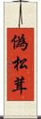 偽松茸 Scroll