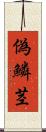 偽鱗茎 Scroll