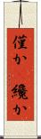 僅か(P) Scroll