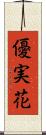 優実花 Scroll