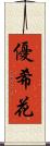 優希花 Scroll