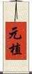 元植 Scroll
