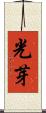 光芽 Scroll