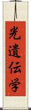 光遺伝学 Scroll