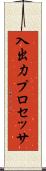 入出力プロセッサ Scroll