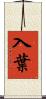 入葉 Scroll