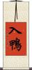 入鴨 Scroll