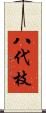 八代枝 Scroll