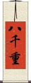 八千重 Scroll