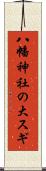八幡神社の大スギ Scroll