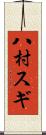八村スギ Scroll