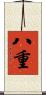 八重 Scroll