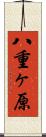 八重ヶ原 Scroll