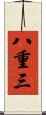 八重三 Scroll